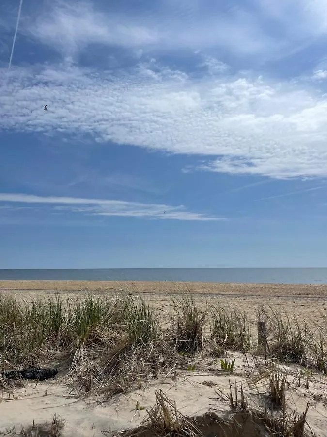 Ocean City, Md Waterfront Villa ארצות הברית